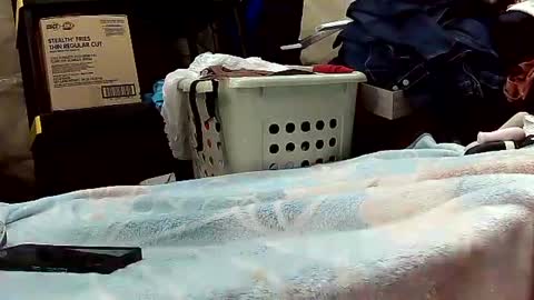 Ryder Harder online show from October 20, 12:16 pm