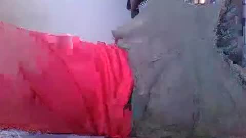 wild lemont online show from October 8, 8:23 am