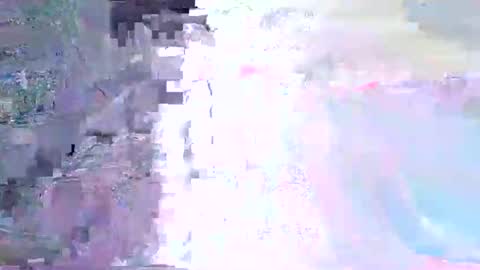 wild lemont online show from November 1, 11:34 am