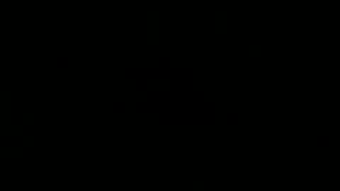 wild lemont online show from February 25, 11:58 pm