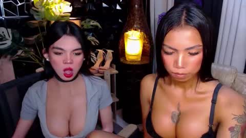 wildara online show from November 25, 11:27 pm