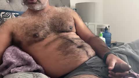 Snapshot of wildhungry chatting on January 3, 7:29 pm wildhungry online show from January 3, 7:29 pm