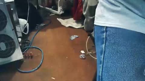 wildman6 online show from April 24, 7:49 pm