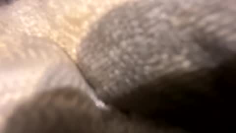 wiley0520 online show from October 27, 11:36 am