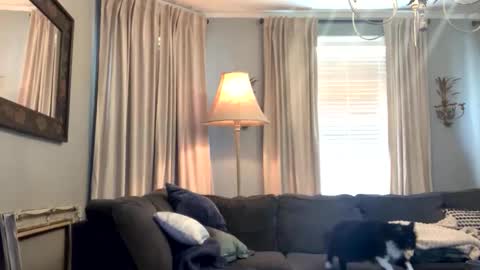 willbeatit online show from April 18, 5:28 pm