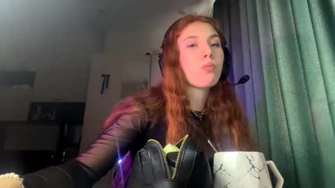 Snapshot of willeneroediger chatting on February 16, 2:13 pm Alice online show from February 16, 2:13 pm