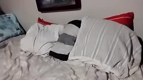 willfast online show from October 7, 7:05 am