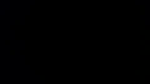 williewants online show from February 13, 10:22 am