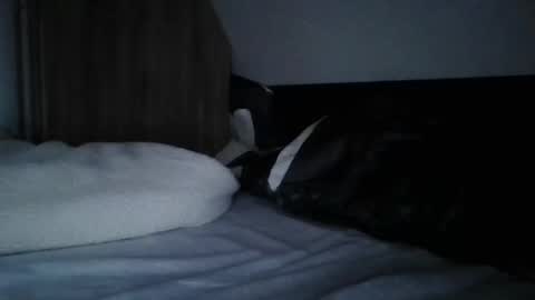 Snapshot of willobey chatting on February 11, 9:56 pm papa bear online show from February 11, 9:56 pm