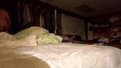 Snapshot of willy_dirk chatting on November 8, 10:04 am willy_dirk online show from November 8, 10:04 am