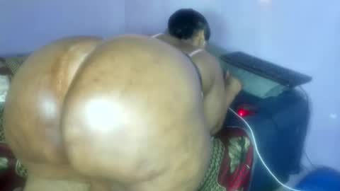 wilmaassylum online show from November 14, 7:51 am