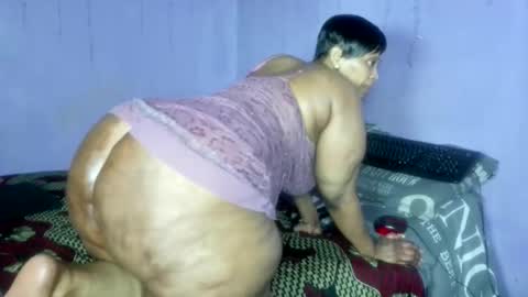 wilmaassylum online show from November 30, 8:29 am