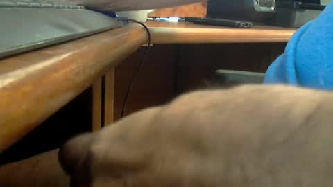 Wineman88886 online show from June 20, 7:16 pm