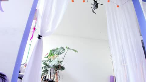     Luna Violeta  A r t i s t  online show from October 28, 4:42 pm