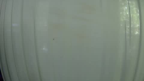 Mater online show from October 7, 7:55 pm