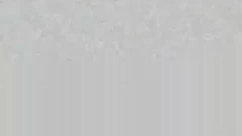 wolfsand online show from June 16, 6:54 pm
