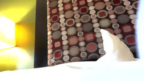 Ryan online show from November 12, 5:24 pm