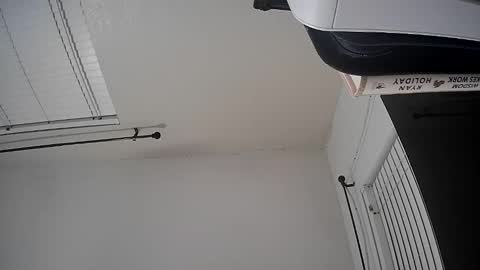 WoodCouldShould86 online show from January 15, 8:41 am