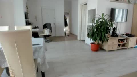 Wolfie online show from November 25, 8:47 am