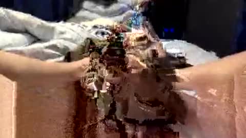 workplace_proximity_associate online show from September 28, 12:10 pm