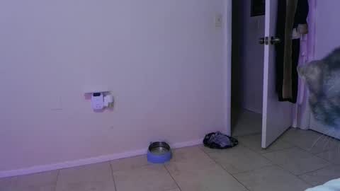 Crystal Lake online show from November 30, 5:22 am