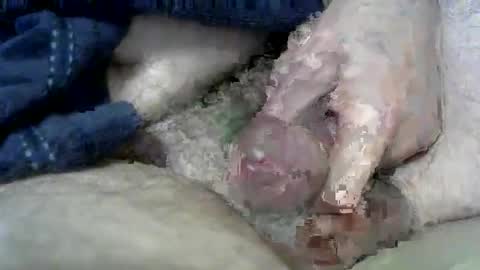 Snapshot of wxherts chatting on March 11, 6:53 am Charles online show from March 11, 6:53 am