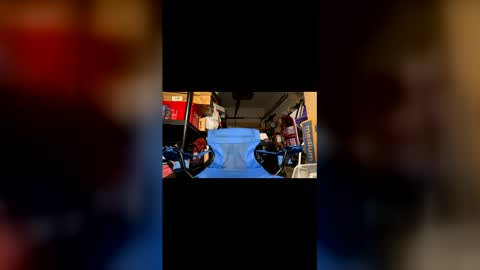 Wynter Heat online show from February 5, 12:43 pm