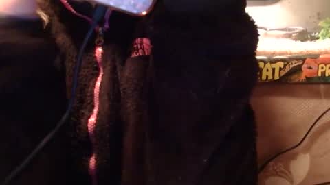 x2kayx2 online show from January 10, 11:31 pm