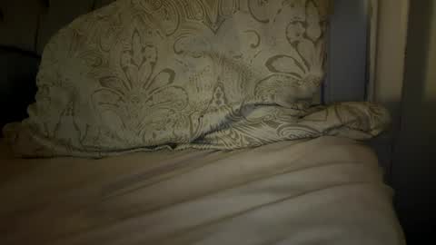 Snapshot of x_dreamgirl_x chatting on November 29, 4:59 am Mariah online show from November 29, 4:59 am