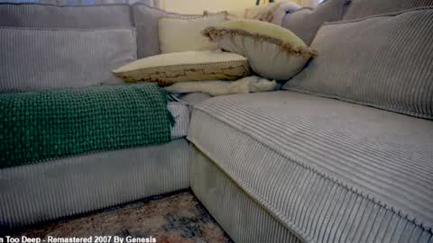 Lily online show from March 4, 4:46 pm