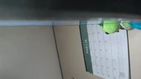 x_man2026 online show from March 18, 2:37 am