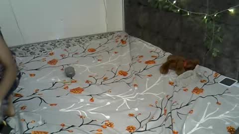 Snapshot of xalia_caramel chatting on November 17, 2:23 pm Alexa online show from November 17, 2:23 pm