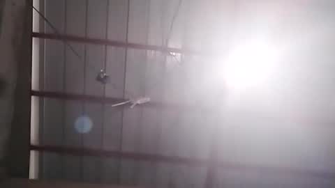 Snapshot of xasianbrowncockx chatting on February 24, 7:17 am Bella Amor online show from February 24, 7:17 am