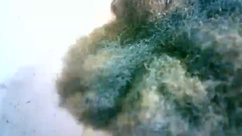 xenna610827 online show from February 20, 6:50 am