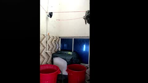 xilongbaby29 online show from October 18, 1:56 pm