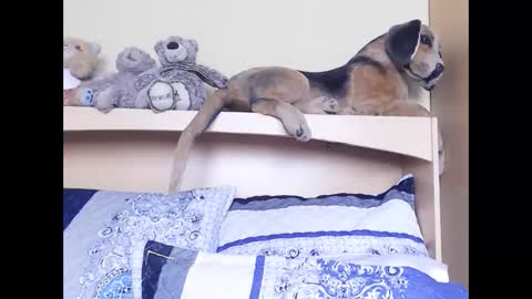 Snapshot of xindianillusion44 chatting on February 6, 11:24 am Miss Ria online show from February 6, 11:24 am