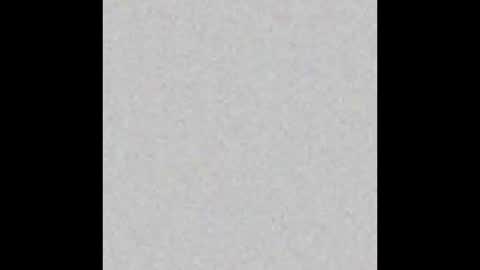 JSSD online show from February 14, 11:29 am