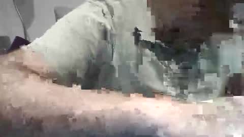 xoriso online show from October 31, 6:53 pm