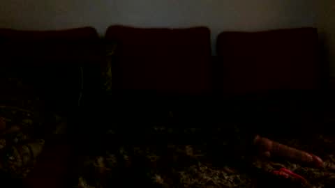 Snapshot of xoviolettt chatting on February 16, 6:43 am 3 online show from February 16, 6:43 am