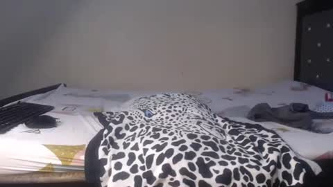 Xoe online show from February 18, 5:25 am