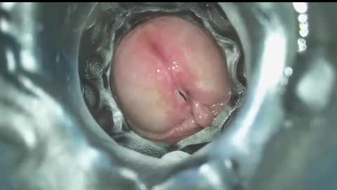 Snapshot of xoxowtf chatting on December 16, 7:43 pm xoxowtf online show from December 16, 7:43 pm