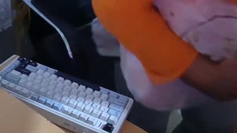 xrokettt online show from November 15, 7:54 pm