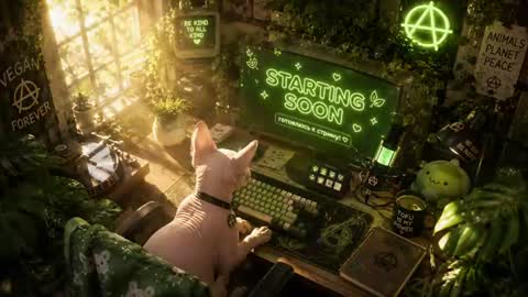 Ray and Andy online show from July 19, 5:00 am