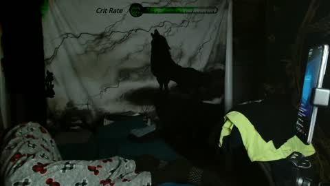 Snapshot of xxxjrstrokesxxx chatting on January 28, 11:50 pm xxxjrstrokesxxx online show from January 28, 11:50 pm