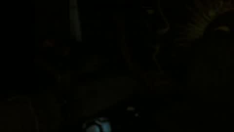 Snapshot of xxxjrstrokesxxx chatting on February 11, 1:52 am xxxjrstrokesxxx online show from February 11, 1:52 am