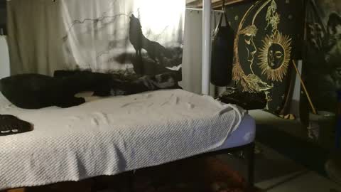 Snapshot of xxxjrstrokesxxx chatting on September 20, 6:20 pm xxxjrstrokesxxx online show from September 20, 6:20 pm