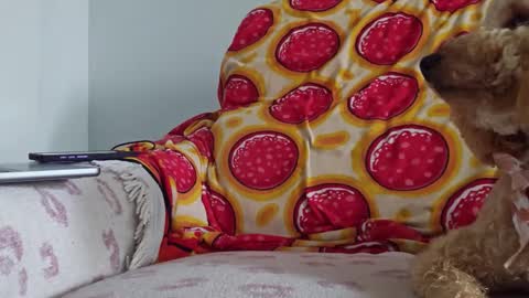 Snapshot of xxxtonymxxx chatting on January 26, 5:13 pm TonyDoesMiami online show from January 26, 5:13 pm