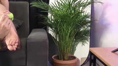 July and Fer online show from February 4, 8:49 pm