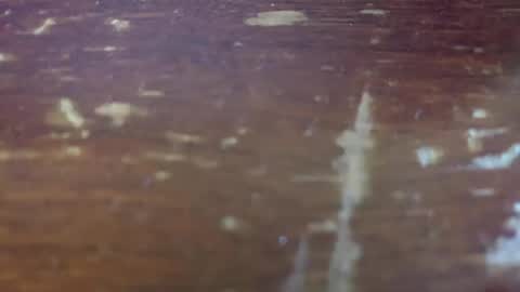 yagishirafe online show from November 13, 2:38 pm