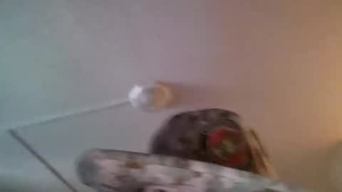 yahushuaha online show from September 9, 7:13 pm